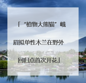 “植物大熊猫”峨眉拟单性木兰在野外回归点首次开花